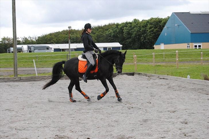 Anden særlig race Tirano Mit et&alt!! billede 13