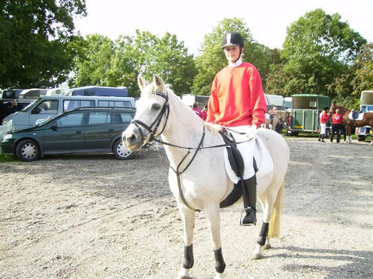 Anden særlig race Laika MiinDM Pony<3  - Ingen scackenborg jagten..  billede 10