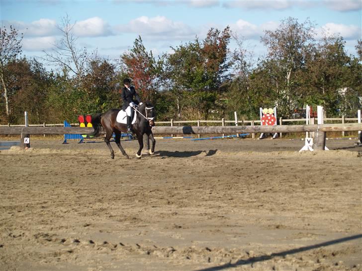 Oldenborg Prince billede 11