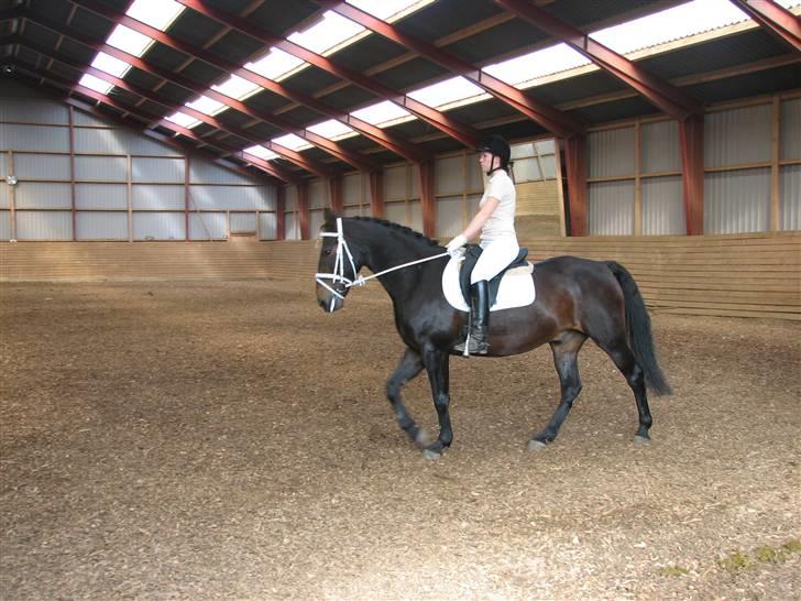 Oldenborg Prince - se hvor flot han kan vise sig frem (jeg elsker dig prince) billede 12