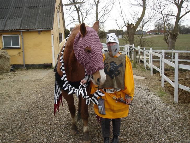 Frederiksborg Mads (rip) billede 12