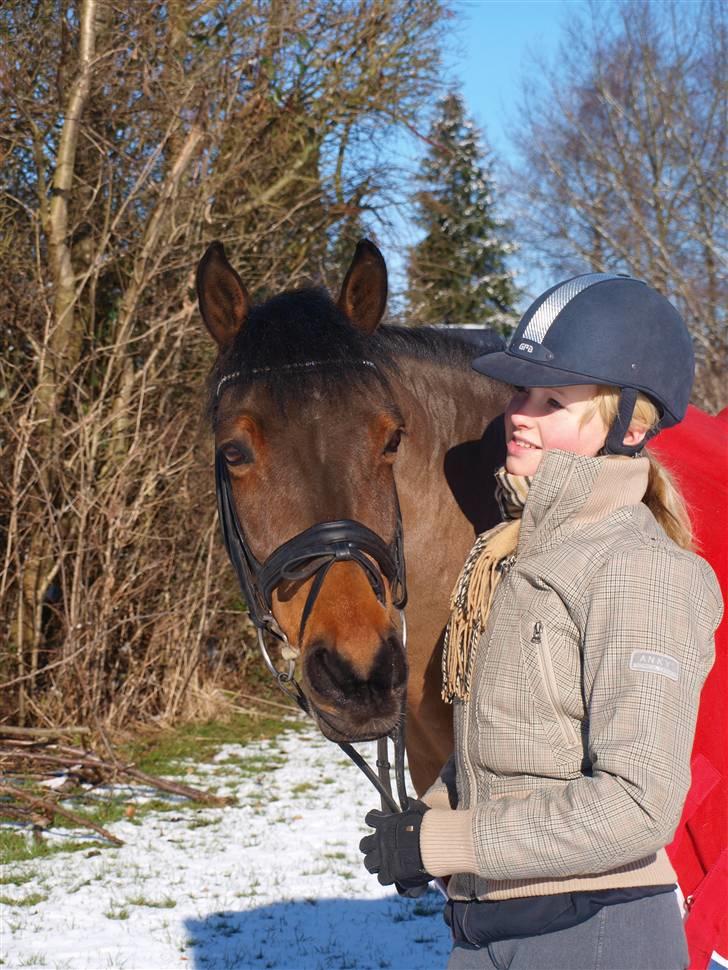 Anden særlig race Moonlight - Moonlight og jeg - fotograf Cathrine Dufour billede 19