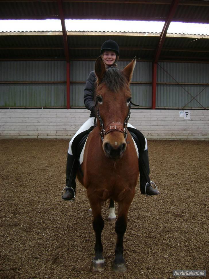 Anden særlig race Djanna - Stævne på eskagergård, d. 28/2-09, vi fik to første pladser; i LD1 og ringridning (: (opvarmning) billede 17
