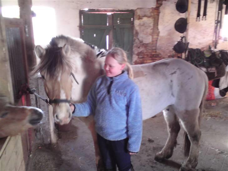 Anden særlig race lucky gamle pony:( - for første gang jeg møtte min smukke skat...! billede 3