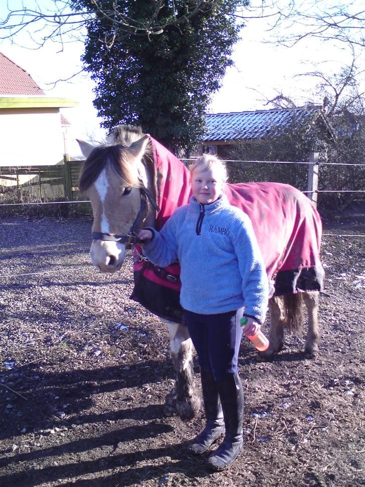 Anden særlig race lucky gamle pony:( - Taget første gang vi mødtes.. billede 4