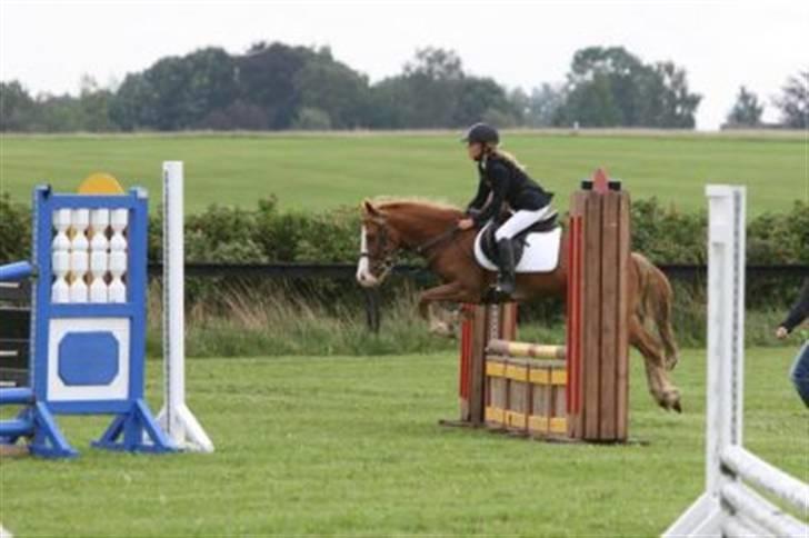 Anden særlig race amadeus - .. :)  billede 10