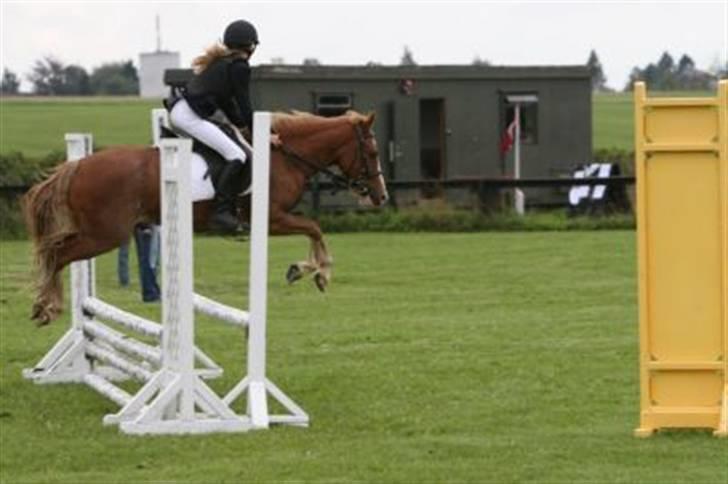 Anden særlig race amadeus billede 12