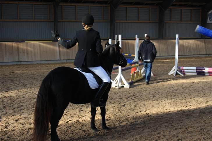 Anden særlig race Nydams Marie - Maries første stævne klubmesterskab 2 plads 60 cm. billede 8