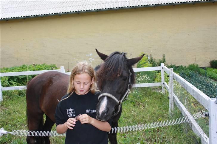 Anden særlig race Nydams Marie - Simone og Marie de er såesøde samn<3;* billede 9