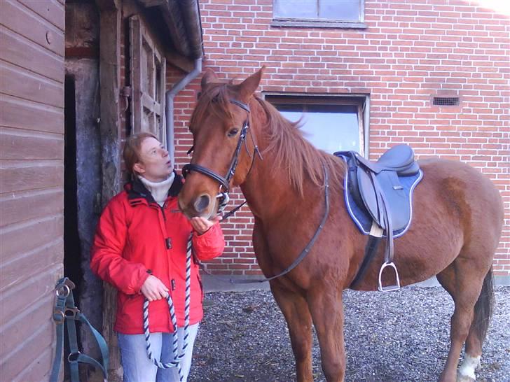 Traver Faun  (lån) billede 2