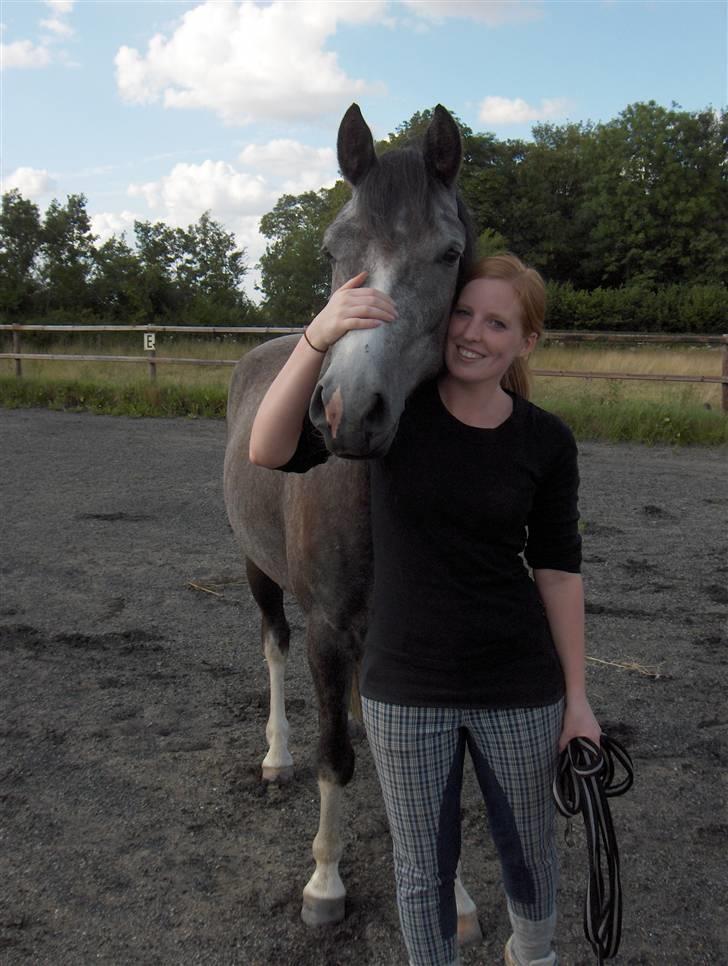 DSP Langdamsgaards Don billede 7