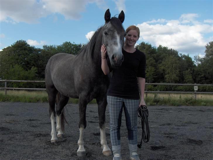 DSP Langdamsgaards Don billede 8