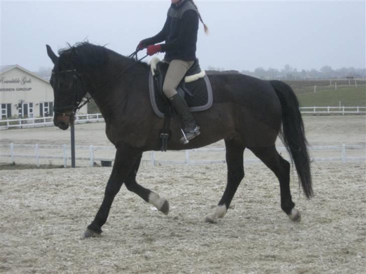 Oldenborg frodo - mig og frodo uden hoved bagved står der rosenkilde gods det ligger i middelfart billede 12