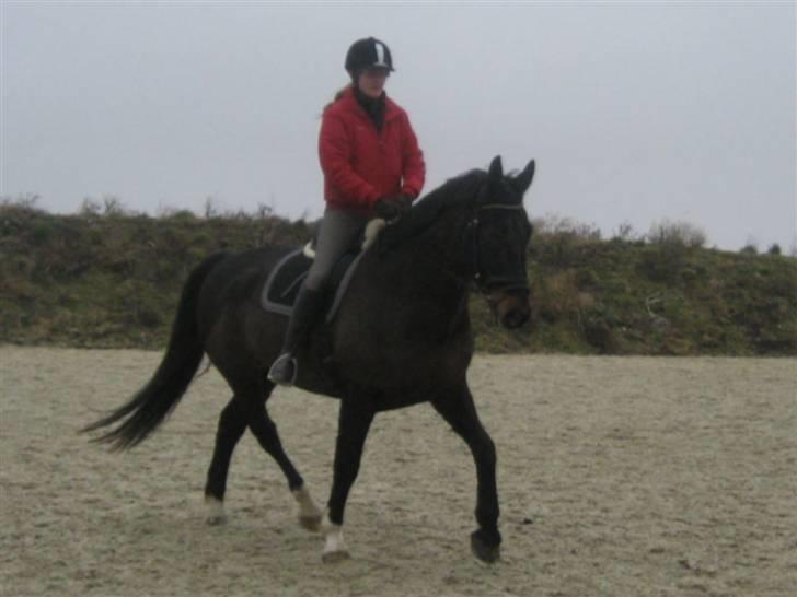 Oldenborg frodo - Bedde plejer også at ride Frodo når hun er så sød at komme forbi... billede 15