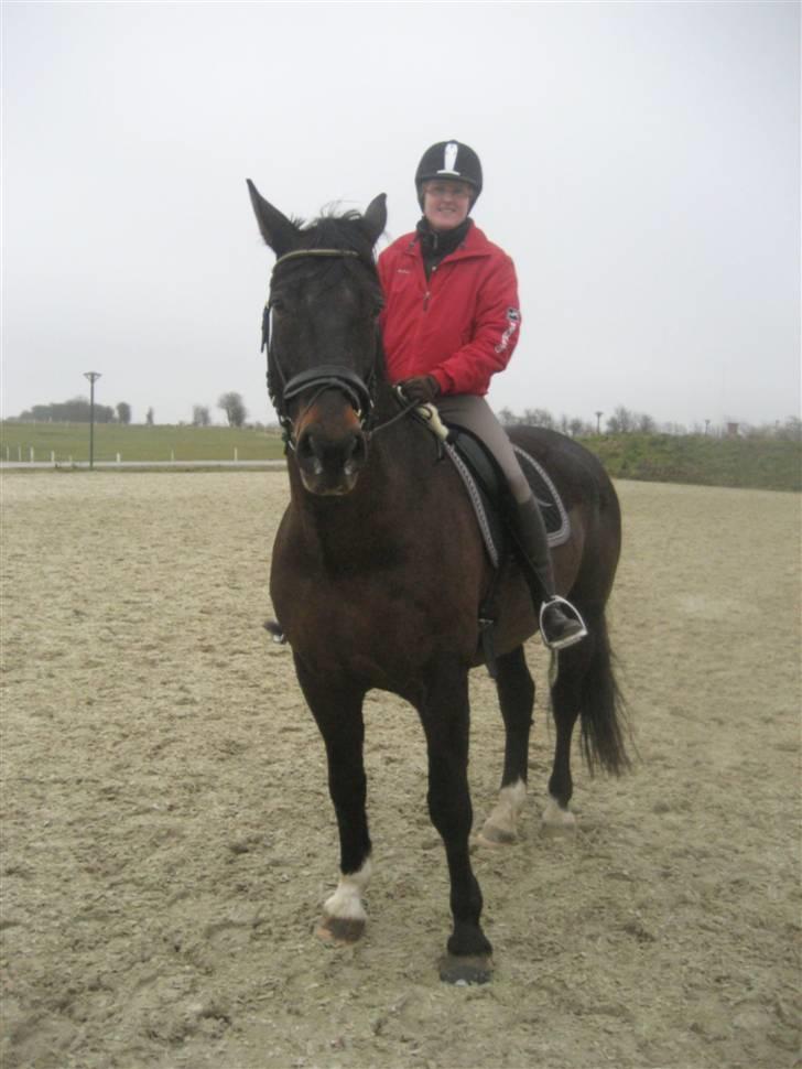 Oldenborg frodo - Min allergoeste søster på min allergoeste Frodo billede 16