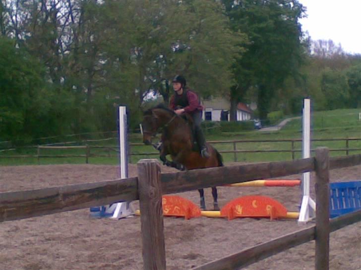 Anden særlig race Pretty Princess*Solgt* - Træningsstævne<3 billede 7