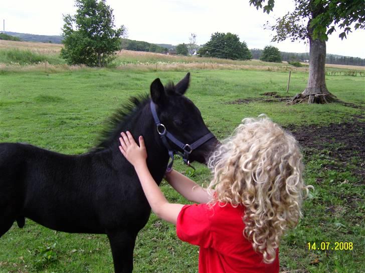 Anden særlig race Nørgårds Baltazar..<3 - PPYYYYSSS.. <3 ;D billede 15