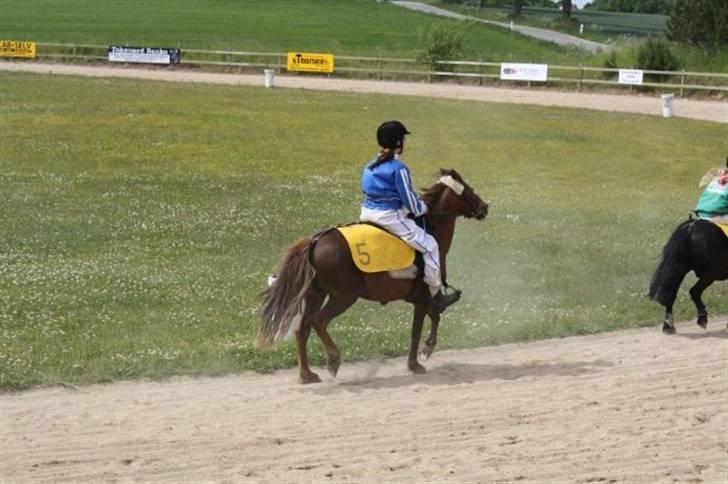 New Forest Matilte<3*solgt :'( * - Matilte i MONTÉ!<3 billede 20