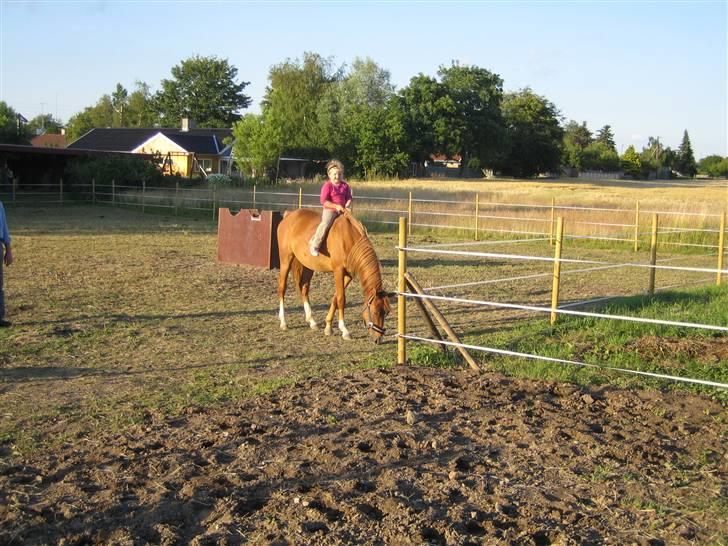 Anden særlig race Malou (min fars )  solgt billede 1