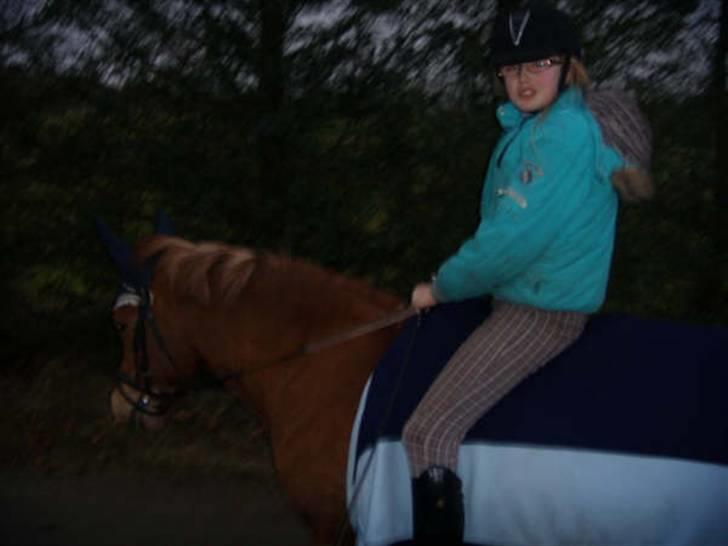 Anden særlig race Lucas<33 (gammel passer) billede 15