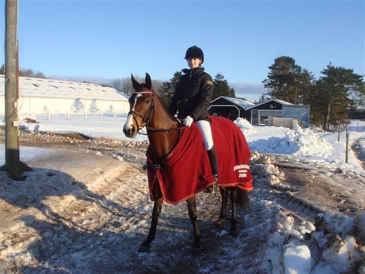 DSP Atina Kærlund - sidste pony stævne i Sindal og B-bony:) 69% i LA5 og 68% i PRI, er stolt af prinsessen:´) billede 3