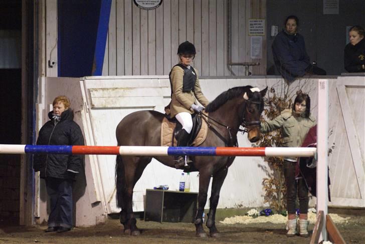 New Forest Lady billede 7