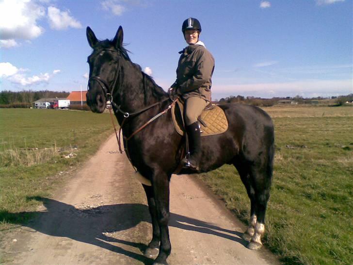 Oldenborg MAX  SOLGT - Mig og MAX på vej ud i det dejlige Kolind sund billede 5