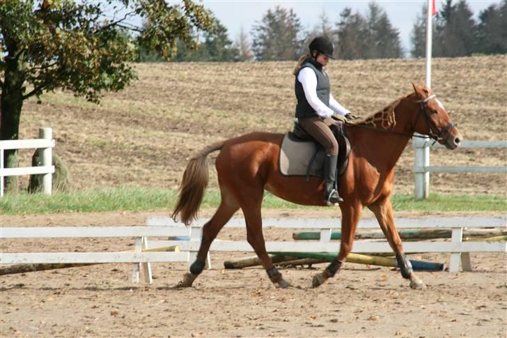 Anden særlig race Stjerne - part *savnes!* billede 4