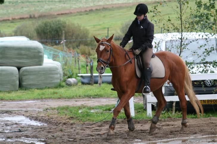 Anden særlig race Stjerne - part *savnes!* billede 5