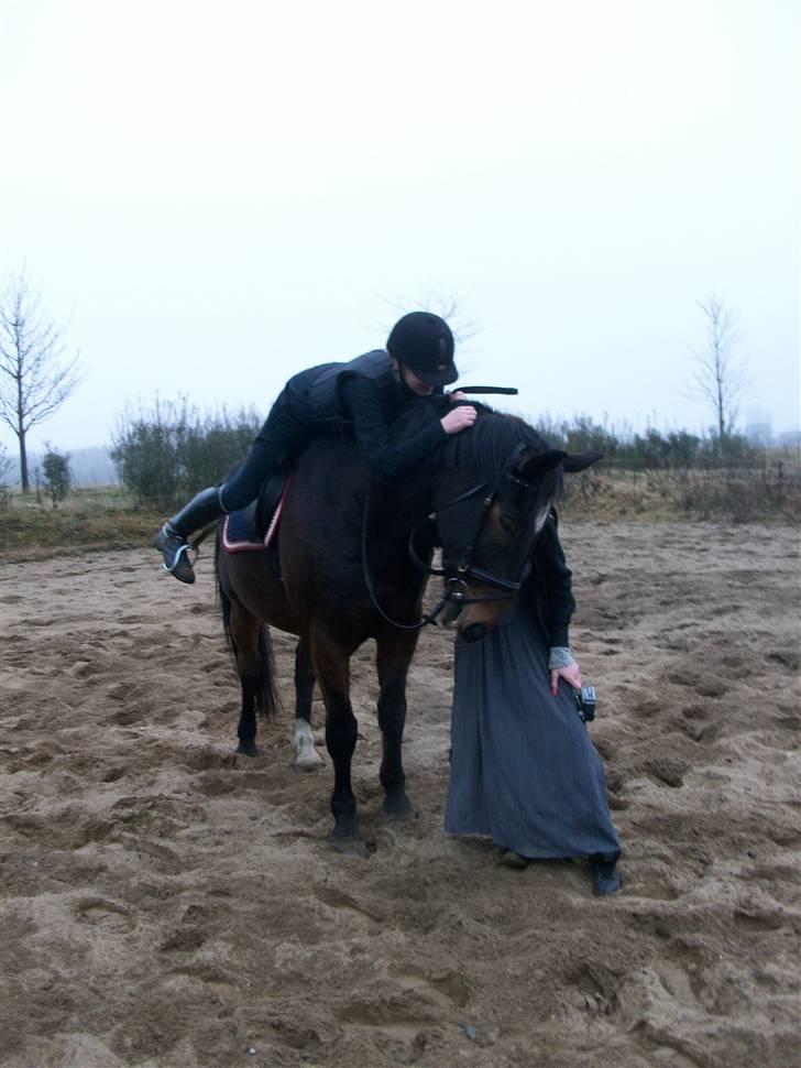 Hannoveraner Spencer R.I.P ): - Da vi havde optaget film :b billede 5