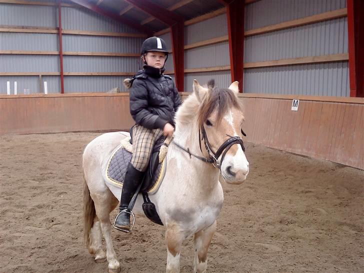 Anden særlig race lucky gamle pony:( - hvad laver de der nede mor??? billede 5