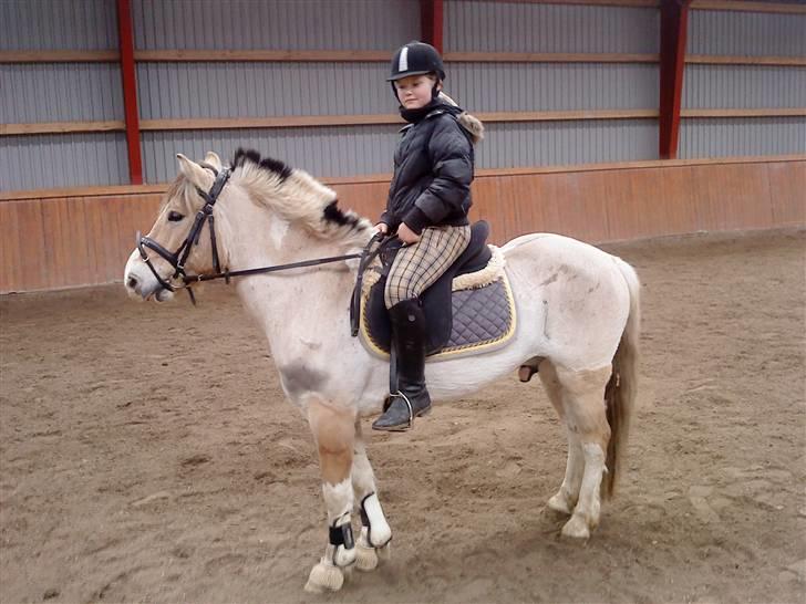 Anden særlig race lucky gamle pony:( - hvad laver Kenzo?? billede 6