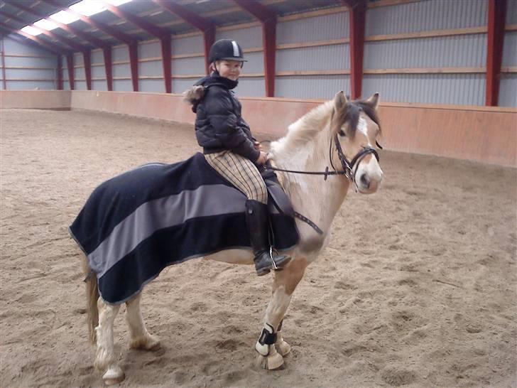 Anden særlig race lucky gamle pony:( - mig og min skat med tæppe på... billede 7