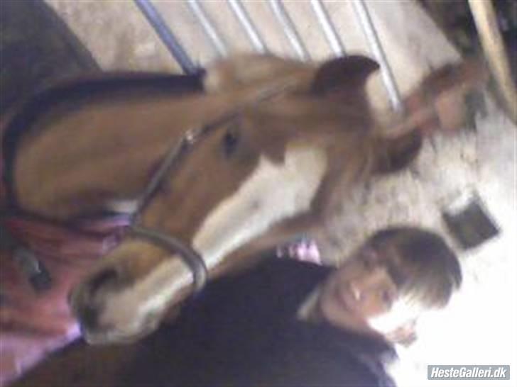 Anden særlig race O'malley | *! SOLGT:'( !* - Et boks-billed af mig og ham:) Billed Kata billede 16