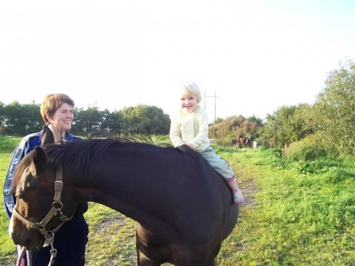 Pinto titana - ingen panik over en syg hest, så kan man ride en tur syntes titana da værende ejer, :D billede 3