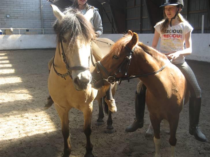 Anden særlig race Lucky - Velkommen til Lucky´s Profil <33 FOTO: Anne Sofie billede 1