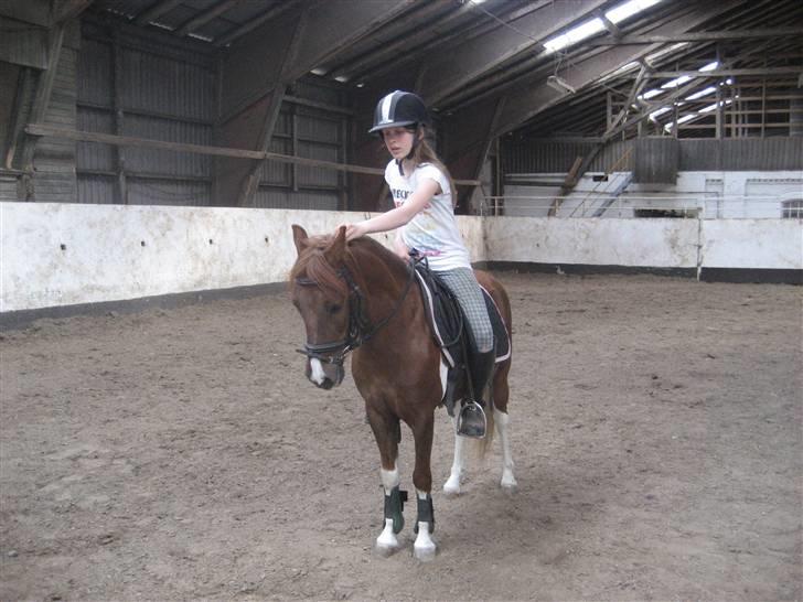Anden særlig race Lucky - Dejlig.. ;p FOTO: Bianca billede 6