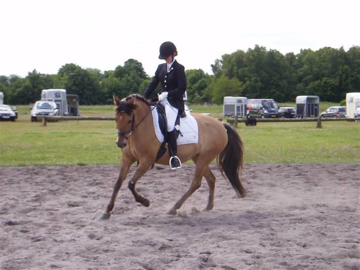 Anden særlig race Sasja R.I.P billede 14