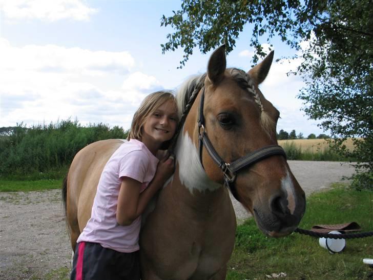 Anden særlig race ••((¯`» Beauty «´¯))•• billede 12