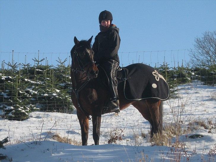 DSP Sa lee - "Smukke ting i livet kan ikke ses eller røres, de skal føles i dit hjerte" <3

Foto: Far/Kaj
December-2010 billede 6