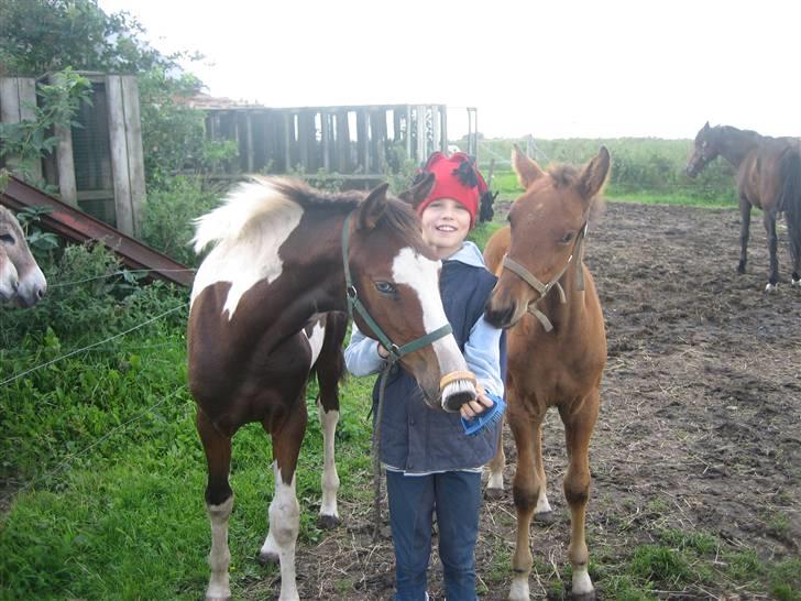 Pinto Sandra  - Nusse nusse år 2006 billede 15