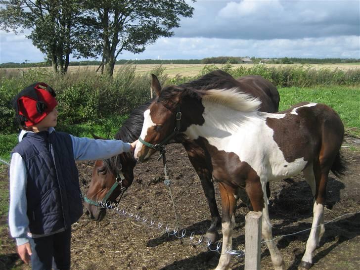 Pinto Sandra  - ´år 2006 billede 16