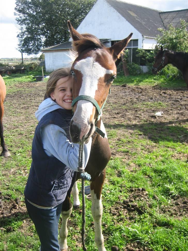 Pinto Sandra  - Et ordentlig kram ! 2006 billede 17