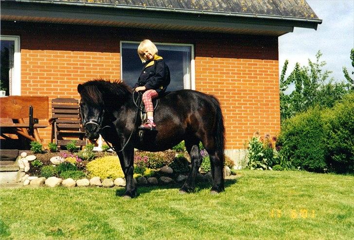 Anden særlig race Sille - Foto: Mor billede 10