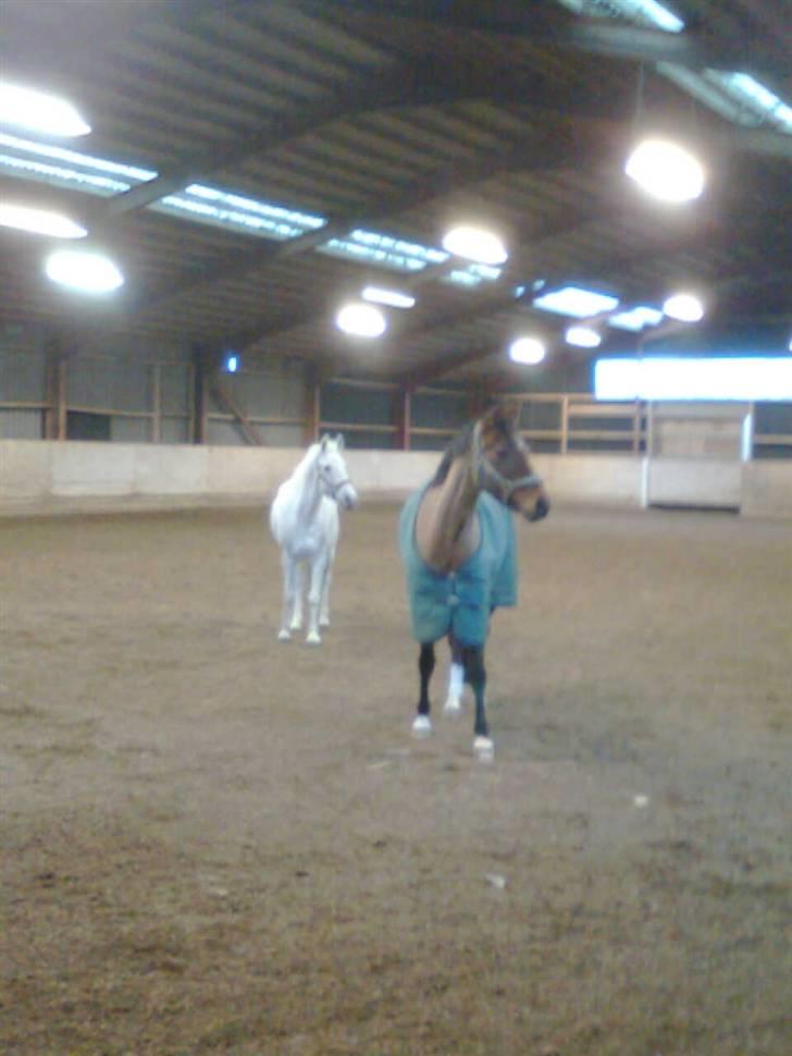 Anden særlig race julle  billede 11