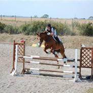 Holstener Lord Capitol (savnes)