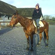 Traver Follow the game