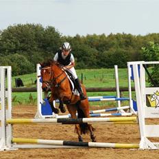 Anden særlig race Holiday