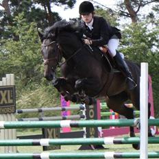 Dansk Varmblod Spindborgs Ophelia 