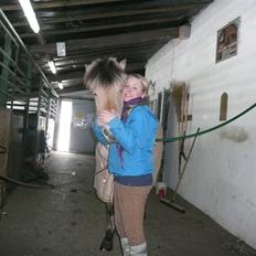 Fjordhest Sirocco -gammel part! <3